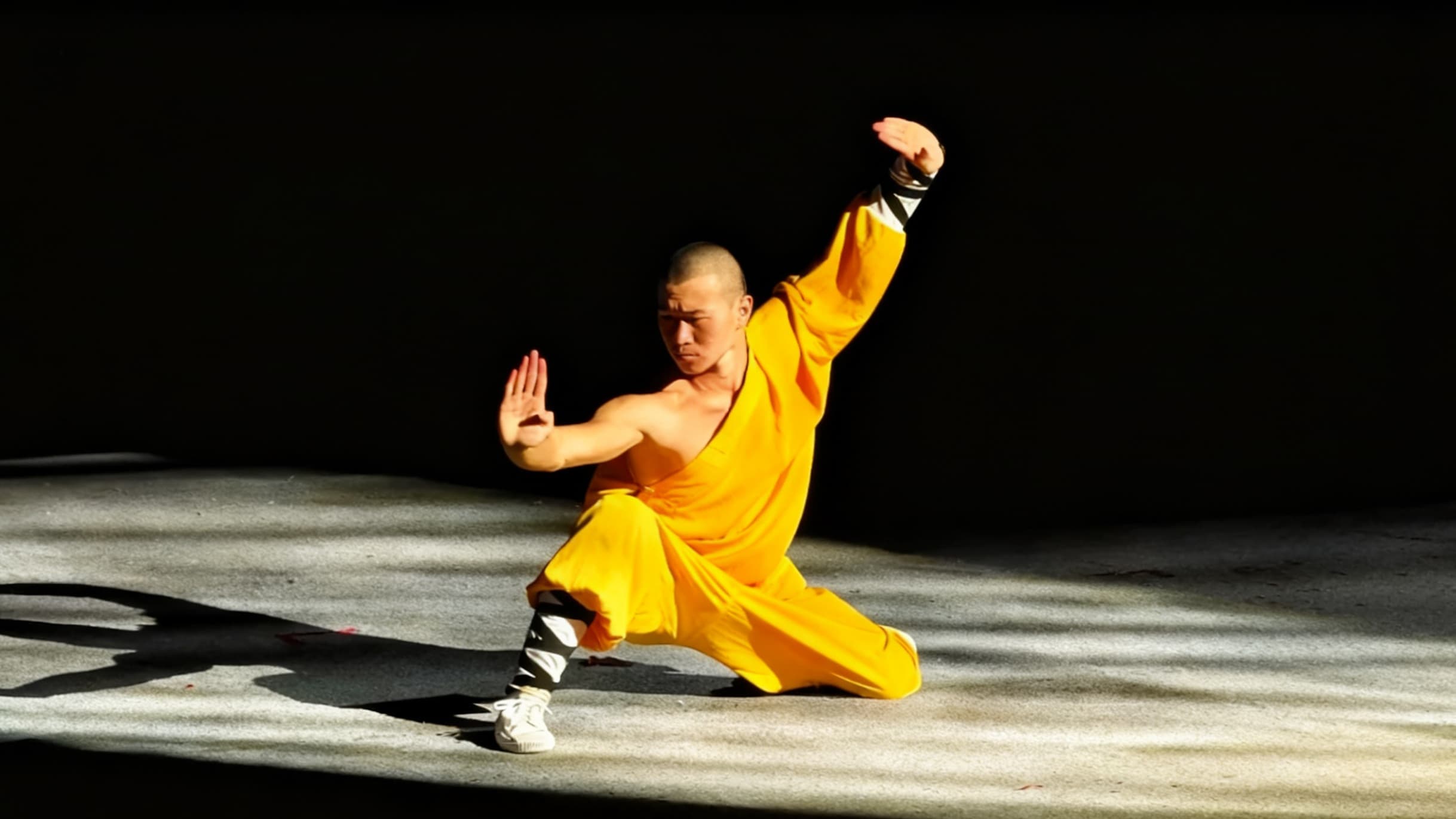 Shaolin Kung Fu Fundamentals